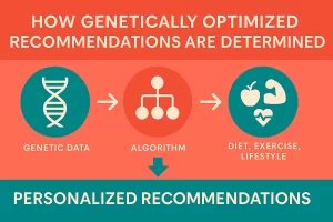 How a Personalized Genetic Scoring System Is Derived